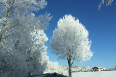 Chiemsee-07