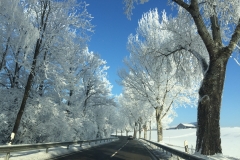 Chiemsee-08