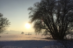 Chiemsee-13
