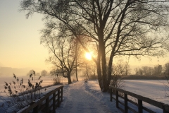 Chiemsee-15