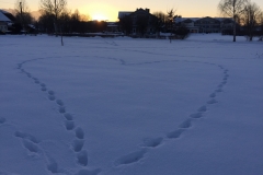 Chiemsee-16
